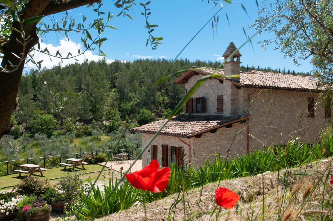 Agriturismo Molino Verde Montecchio  Exterior foto