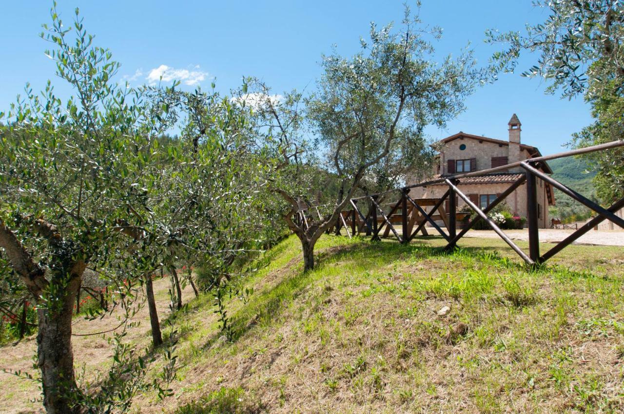 Agriturismo Molino Verde Montecchio  Exterior foto